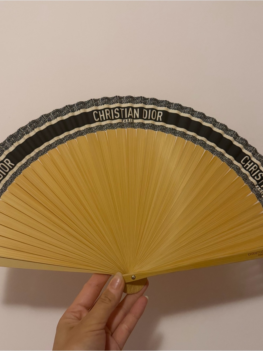 Dior Handheld Fan